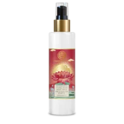 Ultra-Rich Body Milk Soundarya