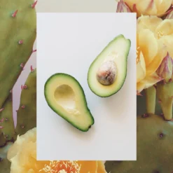 Moisture Loving Hand Wash | Avocado + Cactus Pear | 16.9 Fl Oz -Skin Care Specials Store RS Ingredient 1280x1920 Avocado CactusPear a11e6dbe cd70 400f 85b1 237943a27829