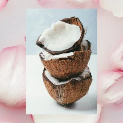 Simply Body Wash For Sensitive Skin | Beach Rose + Coconut Milk + Shea | 25 Fl Oz -Skin Care Specials Store RS Ingredient 1280x1920 BeachRose CoconutMilk Shea 1d5d1baf a2d4 40a1 b734 c490c684c256