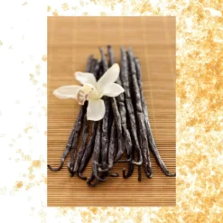 Simply Body Wash | Vanilla Bean + Sugar | 25 Fl Oz -Skin Care Specials Store RS Ingredient 1280x1920 VanilaBean Sugar