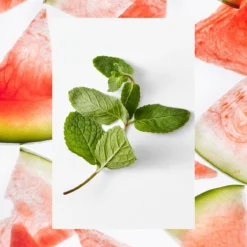 Moisture Loving Body Wash | Watermelon + Fresh Mint | 40 Fl Oz -Skin Care Specials Store RS Ingredient 1280x1920 Watermelon FreshMint bf54190c ef4d 48f8 86c5 2e356bc9548b