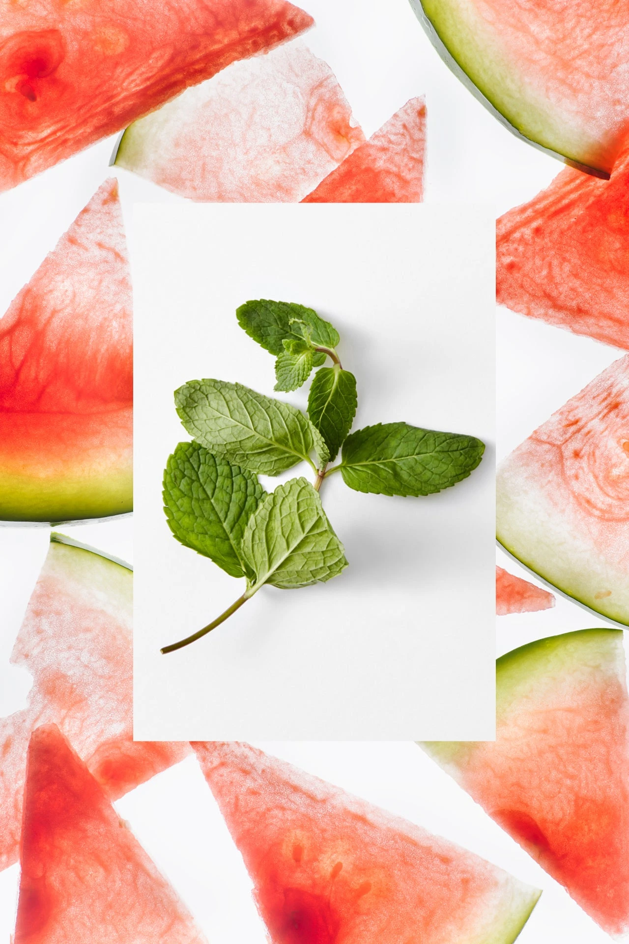 Moisture Loving Body Wash | Watermelon + Fresh Mint | 25 Fl Oz 6 Moisture Loving Body Wash | Watermelon + Fresh Mint | 25 Fl Oz - Image 4