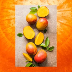 The Bounce Back Shampoo | Mango Butter + Agave + Carrot Oil | 18 Fl Oz 13 The Bounce Back Shampoo | Mango Butter + Agave + Carrot Oil | 18 Fl Oz -Skin Care Specials Store RS Ingredient Image 1280x1920 BounceBack MangoCarrot 11ec7051 210e 4153 a961 64fa4c305eee