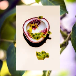 The Grow Pro Conditioner | Passion Fruit + Marula | 18 Oz -Skin Care Specials Store RS Ingredient Image 1280x1920 GrowPro PassionFruitMarula 9574559e 24d6 46f7 bddb 830182c00b28