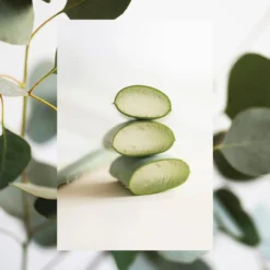 The Scalp Scrub Micro Polish | Eucalyptus + Aloe | 5 Oz 13 The Scalp Scrub Micro Polish | Eucalyptus + Aloe | 5 Oz -Skin Care Specials Store RS Ingredient Image 1280x1920 ScalpScrub EucalyptusAloe