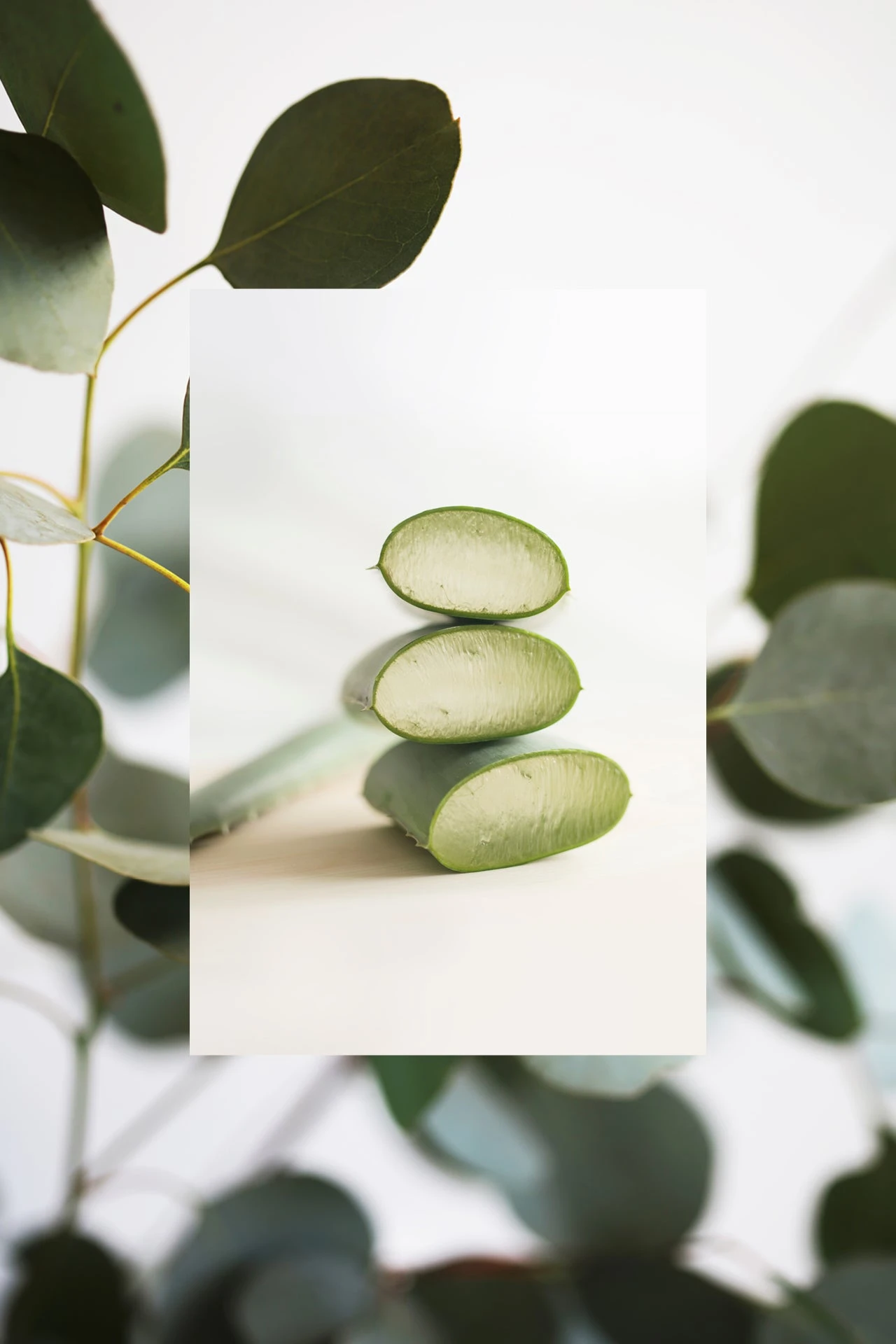 The Scalp Scrub Micro Polish | Eucalyptus + Aloe | 5 Oz 7 The Scalp Scrub Micro Polish | Eucalyptus + Aloe | 5 Oz - Image 5