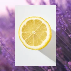 Body Wash + Soak With Epsom Salt | Lavender + Lemon Balm | 25 Fl Oz 10 Body Wash + Soak With Epsom Salt | Lavender + Lemon Balm | 25 Fl Oz -Skin Care Specials Store RS Ingredient Imagery 1280x1920 EpsomSalt LavenderLemonBalm