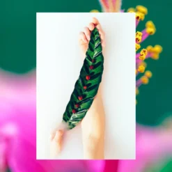 Nutrient Rich Hand Wash | Hibiscus + Rose Hip | 16.9 Fl Oz -Skin Care Specials Store RS Ingredient Imagery 1280x1920 NR HW HibiscusRosehip