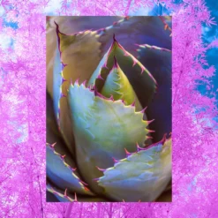 The Not So Dry Shampoo | Aloe + Bamboo | 4 Oz 15 The Not So Dry Shampoo | Aloe + Bamboo | 4 Oz -Skin Care Specials Store RS Ingredient Imagery 1280x1920 NotSoDryShampoo AloeBamboo