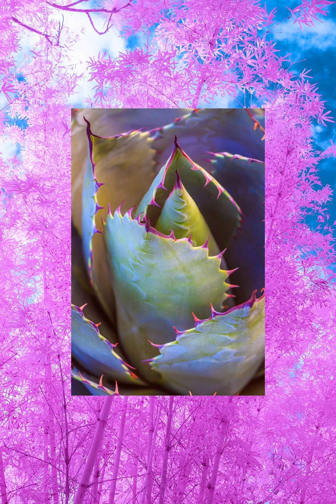 The Not So Dry Shampoo | Aloe + Bamboo | 4 Oz 5 The Not So Dry Shampoo | Aloe + Bamboo | 4 Oz - Image 3