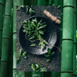 Men's Body Wash + Soak With Epsom Salt | Cool Mint + Bamboo | 25 Fl Oz -Skin Care Specials Store RS Ingredient Imagery 1280x1920 RSM EpsomSalt CoolMintBamboo