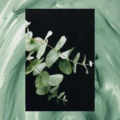 Men's Body Wash + Soak With Epsom Salt | Eucalyptus And Green Clay | 25 Fl Oz -Skin Care Specials Store RS Ingredient Imagery 1280x1920 RSM EpsomSalt GreenClayEucalyptus