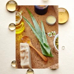 The Scalp Restore Shampoo | Jojoba + Aloe + Niacinamide | 18 Fl Oz -Skin Care Specials Store RS Ingredient Imagery 1280x1920 ScalpRestore JojobaAloeNiacinamide 6c993311 c76d 46f7 b9c4 cceb4a2f55ea