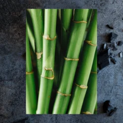 Men's Body Wash | Charcoal + Bamboo | 25 Fl Oz -Skin Care Specials Store RSM Ingredient 1280x1920 BW Charcoal Bamboo